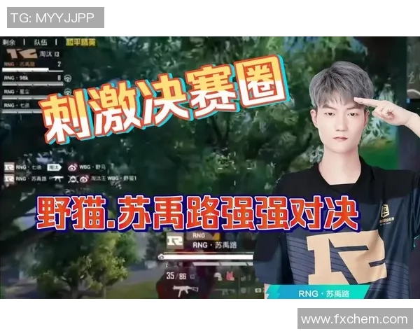 和平精英战术分析:深入探讨RNG在比赛中的盯防策略与执行 和平精英战术分析:深入探讨RNG在比赛中的盯防策略与执行