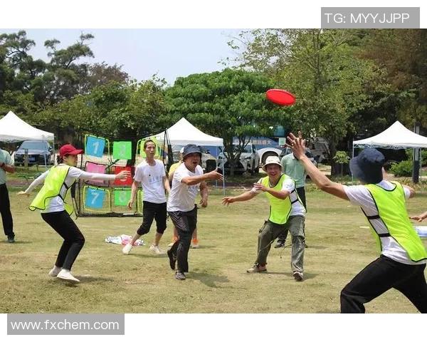 成都飞盘队技术革新引发热议助力飞盘运动蓬勃发展