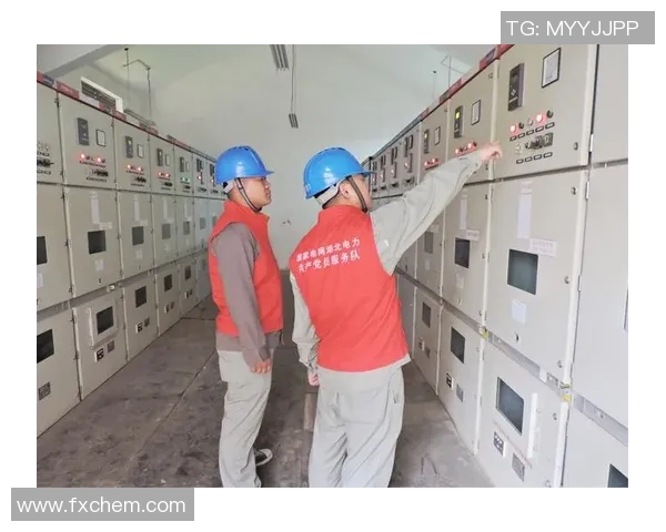 武汉极限运动队状态分析与表现评估的全面研究报告