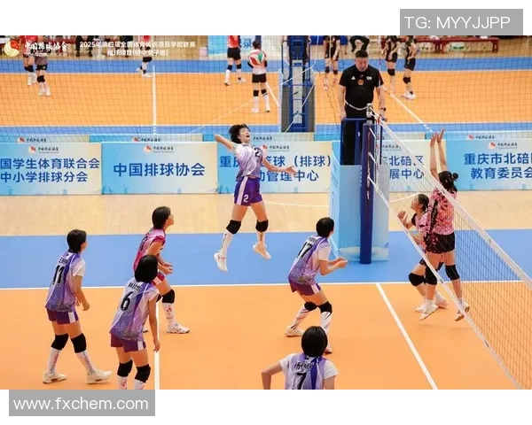 深度对话王伟分享排球人生的奋斗与梦想之路 深度对话王伟分享排球人生的奋斗与梦想之路