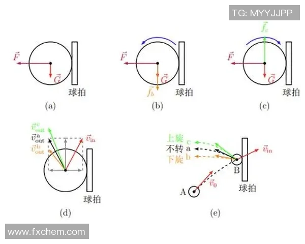 科学乒乓球训练新方法:掌握节奏提升击球精准度与反应速度 科学乒乓球训练新方法:掌握节奏提升击球精准度与反应速度
