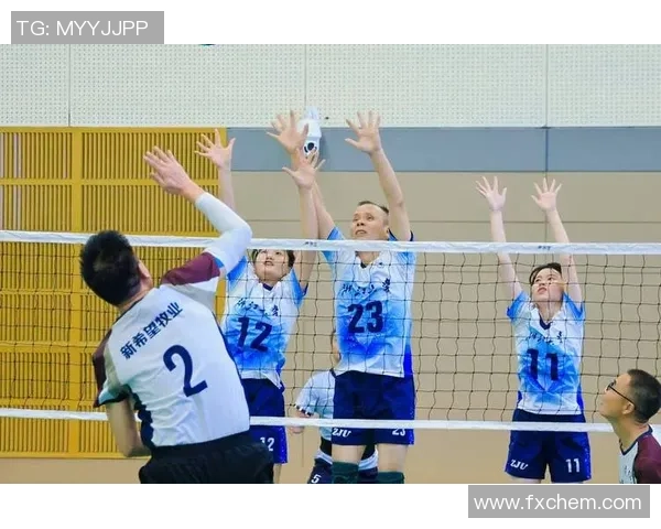 杭州排球队状态变革引发热议球迷期待新赛季的精彩表现与突破